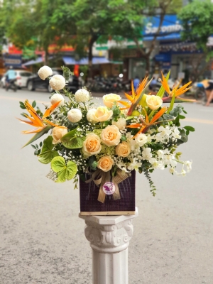 Hộp hoa, giỏ hoa chúc mừng MS113