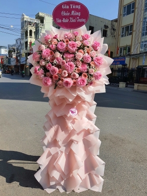 Kệ hoa khai trương, chúc mừng MS176