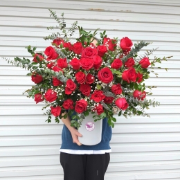 Bình, hộp hồng đỏ MS18