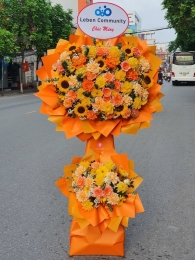 Kệ hoa khai trương, chúc mừng MS376