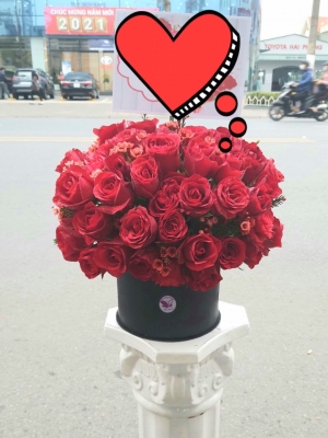 Bình, hộp hồng đỏ MS15