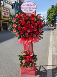 Kệ hoa khai trương, chúc mừng MS313