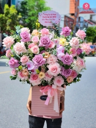 Hộp hoa, giỏ hoa chúc mừng MS563