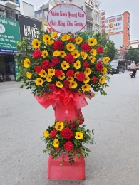 Kệ hoa khai trương, chúc mừng MS324
