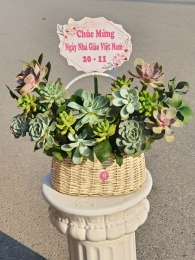 Giỏ sen đá MS45