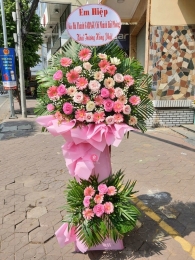 Kệ hoa khai trương, chúc mừng MS315
