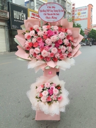 Kệ hoa khai trương, chúc mừng MS287