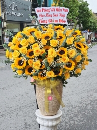 Bình hoa chúc mừng MS94