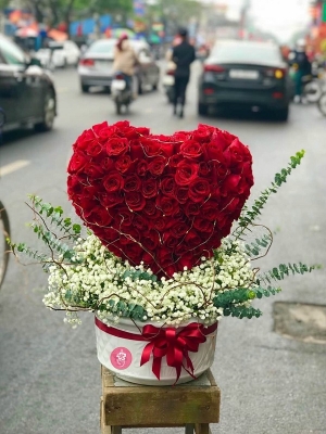 Bình, hộp hồng đỏ MS62
