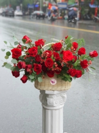 Bình, hộp hồng đỏ MS16