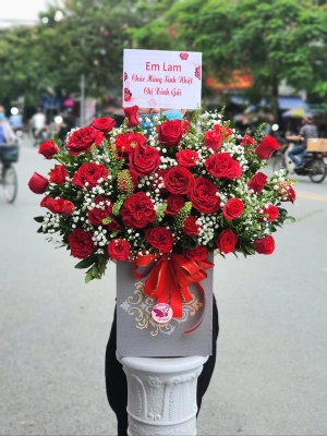 Bình, hộp hồng đỏ MS31