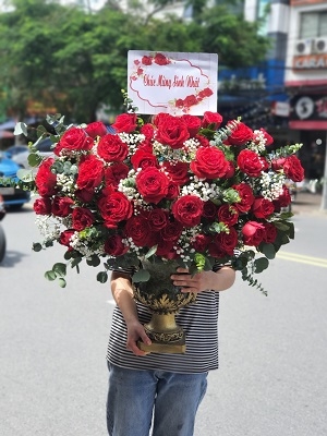 Bình, hộp hồng đỏ MS29