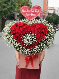 Bình, hộp hồng đỏ MS52