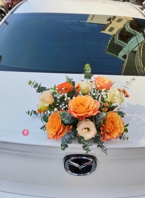 Combo Xe hoa + Cầm tay + Cài áo MS07
