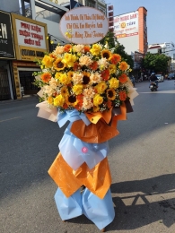 Kệ hoa khai trương, chúc mừng MS284