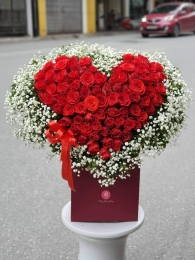 Bình, hộp hồng đỏ MS51