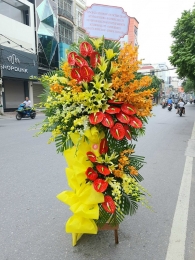 Kệ hoa khai trương, chúc mừng MS317