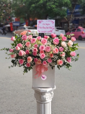 Hộp hoa, giỏ hoa chúc mừng MS197