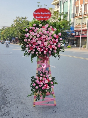 Kệ hoa khai trương, chúc mừng MS152