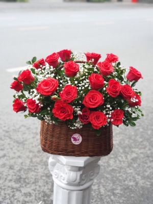 Bình, hộp hồng đỏ MS21