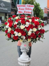 Bình, hộp hồng đỏ MS60