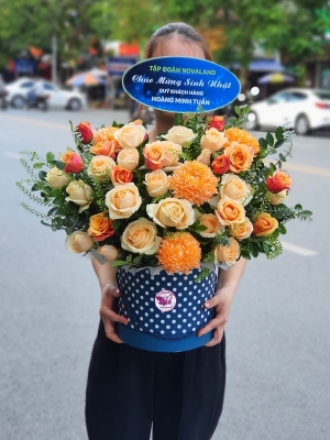 Hộp hoa, giỏ hoa chúc mừng MS255