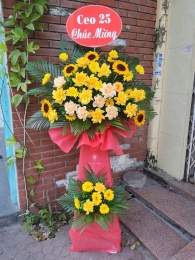 Kệ hoa khai trương, chúc mừng MS316
