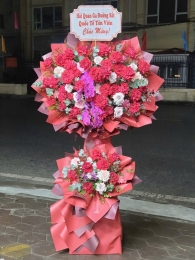 Kệ hoa khai trương, chúc mừng MS411