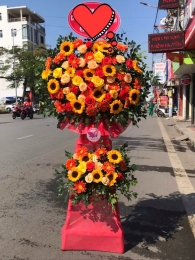 Kệ hoa khai trương, chúc mừng MS63