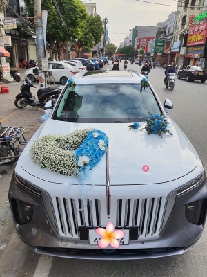 Combo Xe hoa + Cầm tay + Cài áo MS09