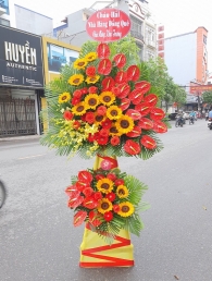 Kệ hoa khai trương, chúc mừng MS192