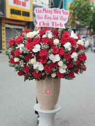 Bình, hộp hồng đỏ MS65