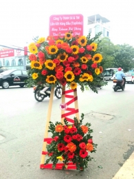 Kệ hoa khai trương, chúc mừng MS37