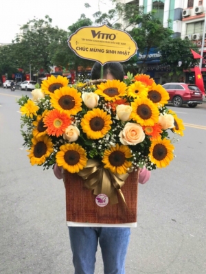 Hộp, giỏ hoa hướng dương MS10