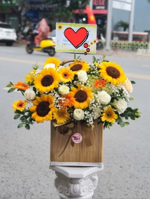 Hộp, giỏ hoa hướng dương MS12