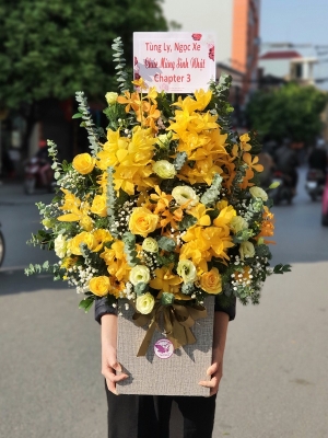 Bình địa lan MS10