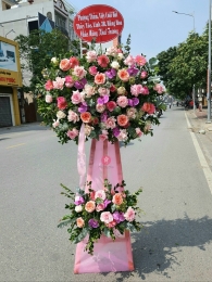 Kệ hoa khai trương, chúc mừng MS202