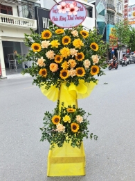 Kệ hoa khai trương, chúc mừng MS335
