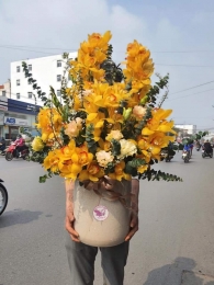 Bình địa lan MS02