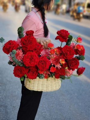 Bình, hộp hồng đỏ MS74