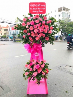Kệ hoa khai trương, chúc mừng MS71