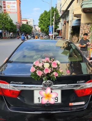 Combo Xe hoa + Cầm tay + Cài áo MS14