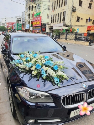 Combo Xe hoa + Cầm tay + Cài áo MS11