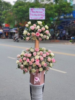 Hộp hoa, giỏ hoa chúc mừng MS246