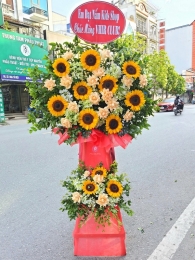Kệ hoa khai trương, chúc mừng MS248