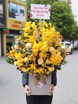 Bình địa lan MS11