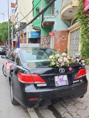 Combo Xe hoa + Cầm tay + Cài áo MS03