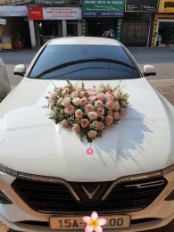 Combo Xe hoa + Cầm tay + Cài áo MS12