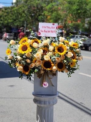 Hộp, giỏ hoa hướng dương MS05
