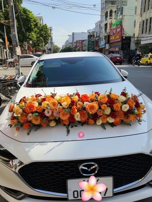 Combo Xe hoa + Cầm tay + Cài áo MS07